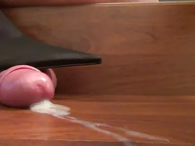 ಡೊರೊಟಾ ಮತ್ತು ಡೇನಿಯಲ್