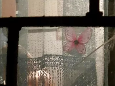 ದುಂಡುಮುಖದ ಶ್ಯಾಮಲೆ ಶೇವ್ ಮಾಡಿದ ಕೋಳಿಯನ್ನು ನಿರ್ವಹಿಸುತ್ತಿದೆ