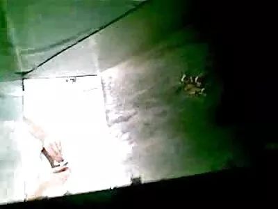 ಸುಂದರವಾದ ಹೊಂಬಣ್ಣವು ಕೋಳಿಯ ಮೇಲೆ ಅವಳ ನಯವಾದ ಕಂಟ್ ಅನ್ನು ಇಂಪೈಲ್ ಮಾಡುತ್ತದೆ