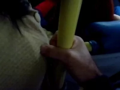 ದೊಡ್ಡ ಚೇಕಡಿ ಹಕ್ಕಿಗಳು ಮತ್ತು ಸುಂದರವಾದ ಕತ್ತೆ ಕೋಳಿಯ ಮೇಲೆ ಜಿಗಿಯುತ್ತವೆ